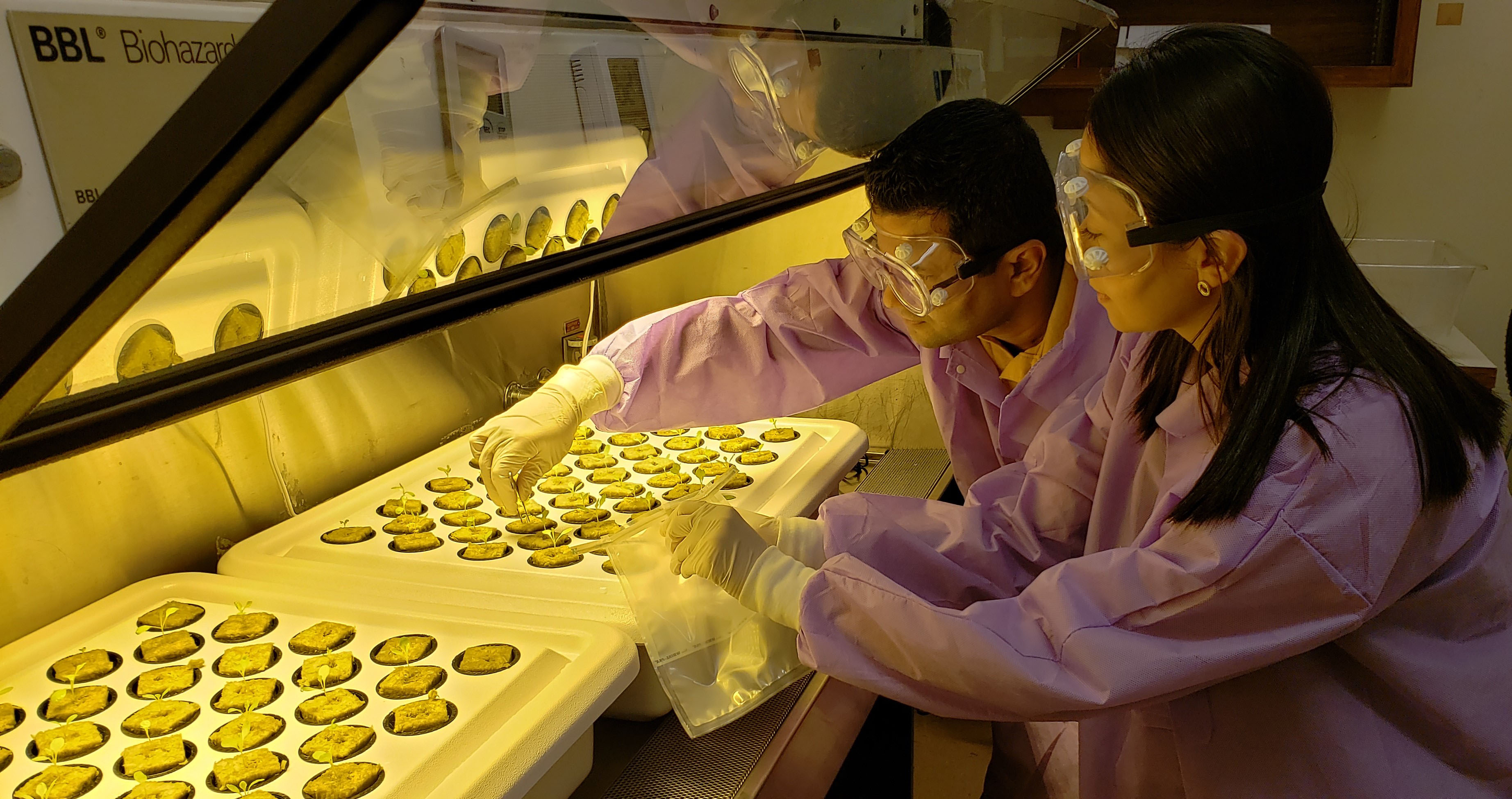 scientists in lab working with plants.jpg thumbnail